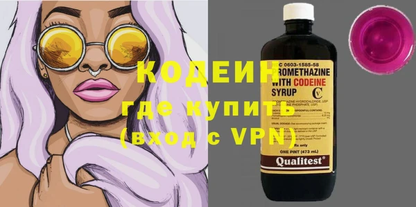 хмурый Магас