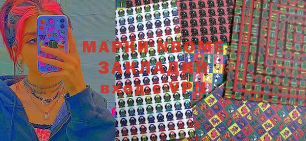 хмурый Магас