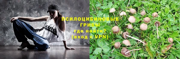 спиды Липки