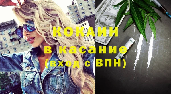 хмурый Магас