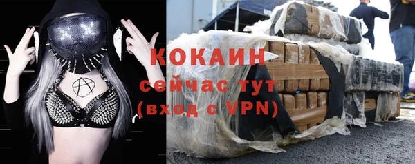 хмурый Магас