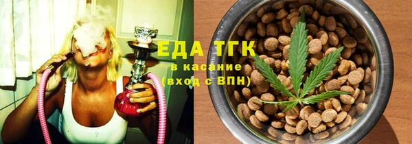 хмурый Магас
