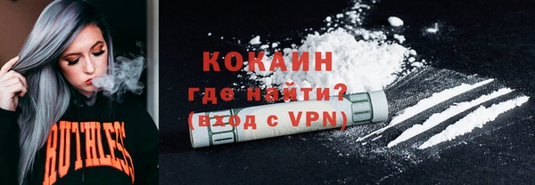 хмурый Магас