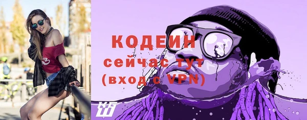 хмурый Магас