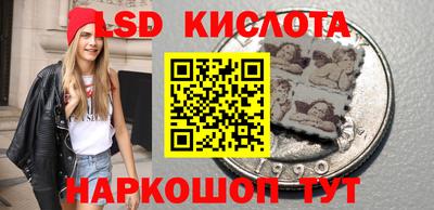 сатива Кандалакша