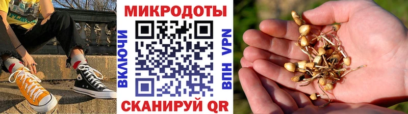 Галлюциногенные грибы Cubensis  omg маркетплейс  Нововоронеж  закладка 