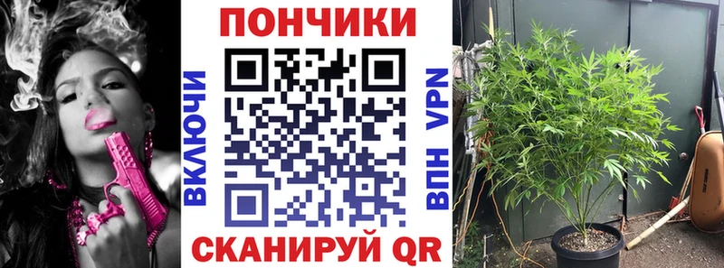 хочу наркоту  Нововоронеж  Шишки марихуана White Widow 